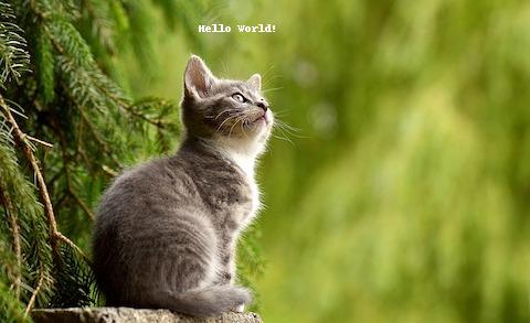 Python Pillow - Write Text on Image - Output image for example